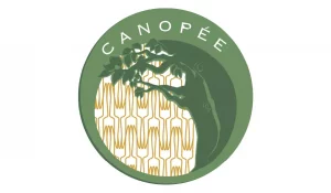 Canopée - Cabinet Hermès